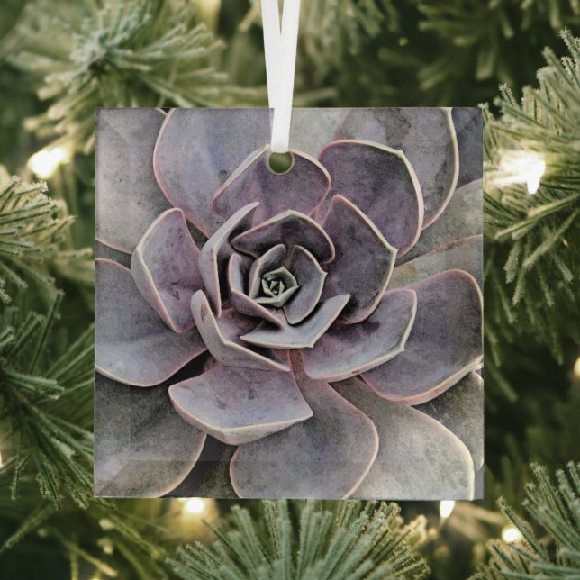 ECHEVERIA PLANT (SUCCULENT) GLASS TREE DECORATION (Insitu)