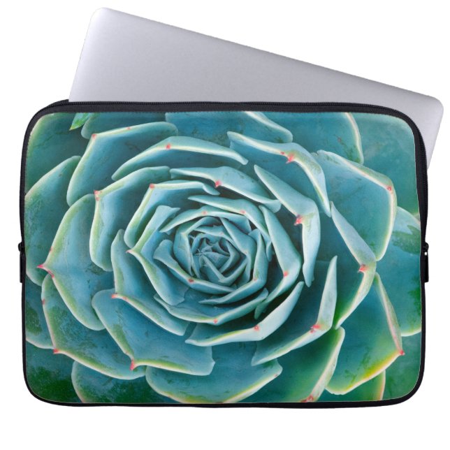 Echeveria Rosette, Secret Garden of Marrakech Laptop Sleeve (Front)