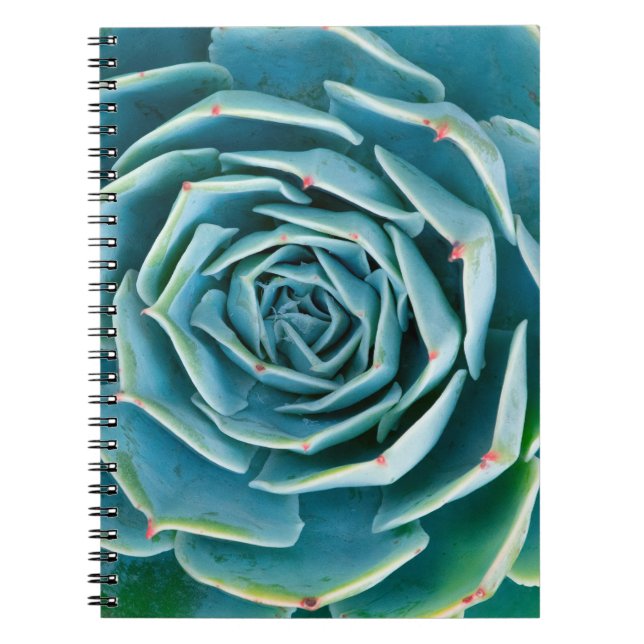 Echeveria Rosette, Secret Garden of Marrakech Notebook (Front)