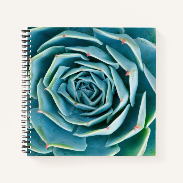 Echeveria Rosette, Secret Garden of Marrakech Notebook (Front)