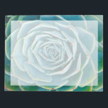 Echeveria Rosette, Secret Garden of Marrakech Notepad<br><div class="desc">Echeveria rosette (Echeveria elegans),  a semi-desert succulent plant native to Mexico,  Secret Garden of Marrakech,  Medina of Marrakech,  Mouassine neighbourhood,  Morocco.</div>