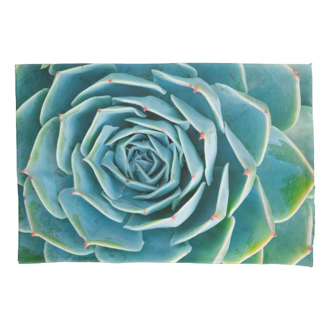 Echeveria Rosette, Secret Garden of Marrakech Pillowcase (Front)