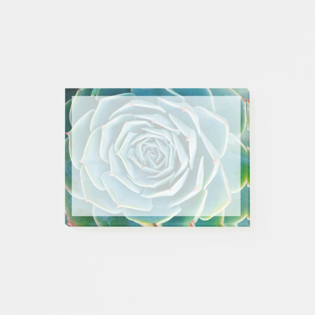 Echeveria Rosette, Secret Garden of Marrakech Post-it Notes (Front)