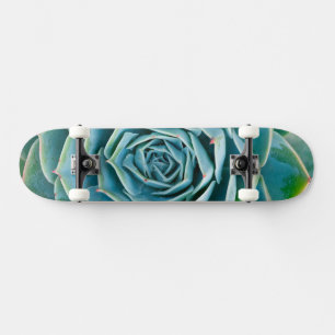 Echeveria Rosette, Secret Garden of Marrakech Skateboard