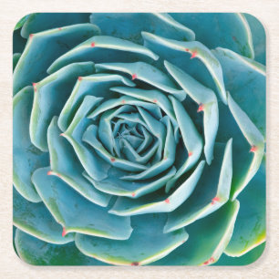 Echeveria Rosette, Secret Garden of Marrakech Square Paper Coaster