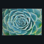 Echeveria Rosette, Secret Garden of Marrakech Tea Towel<br><div class="desc">Echeveria rosette (Echeveria elegans),  a semi-desert succulent plant native to Mexico,  Secret Garden of Marrakech,  Medina of Marrakech,  Mouassine neighbourhood,  Morocco.</div>