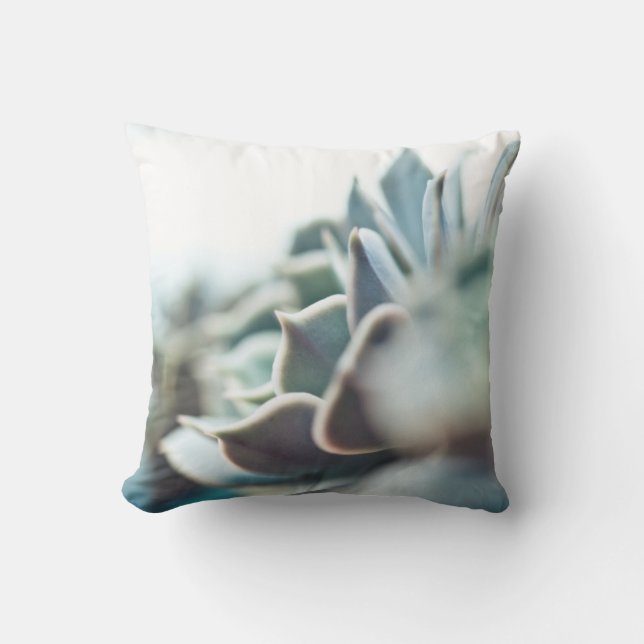 Echeveria succulent cushion (Front)