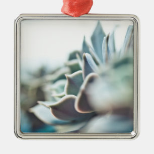 Echeveria succulent metal ornament