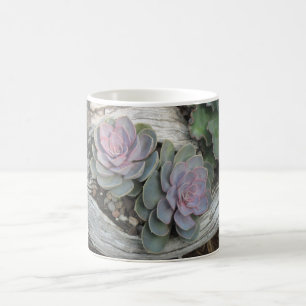 Echeveria Succulent Mug