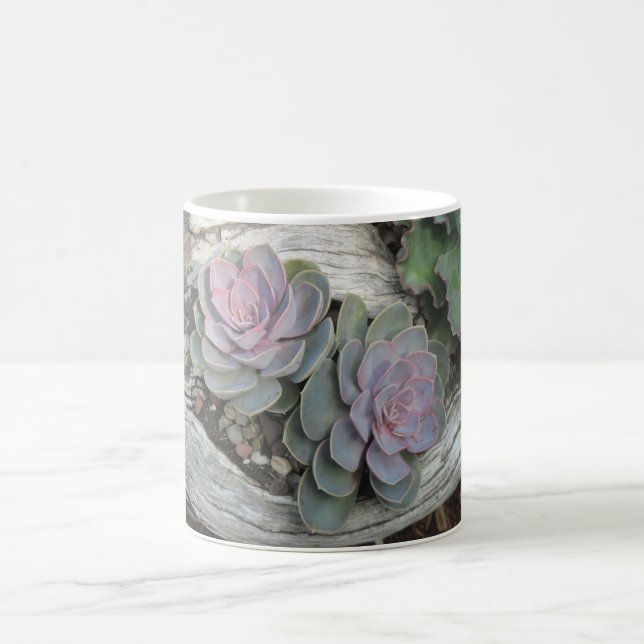 Echeveria Succulent Mug (Center)