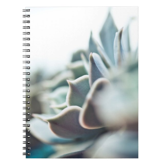 Echeveria succulent notebook (Front)