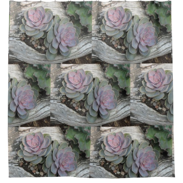Echeveria Succulent Pattern Shower Curtain (Front)
