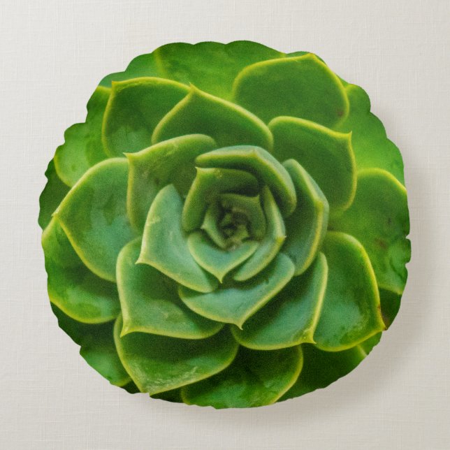 Echeveria Succulent Round Pillow (Front)