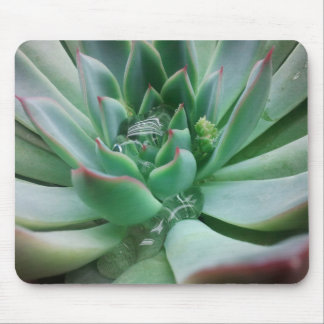 Echeveria 'Tippy' Mouse Pad