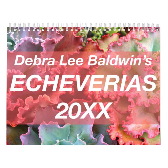 Echeverias 20XX Calendar by Debra Lee Baldwin (Cover)