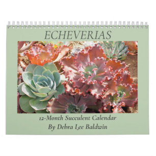 Echeverias: Succulents by Debra Lee Baldwin Calendar