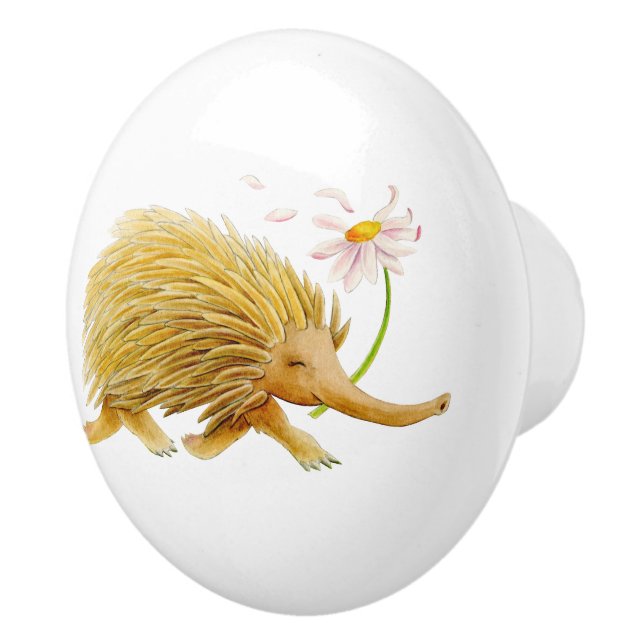 Echidna animal watercolor whimsy art knob (Right)