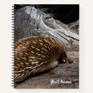 Echidna Australia Notebook