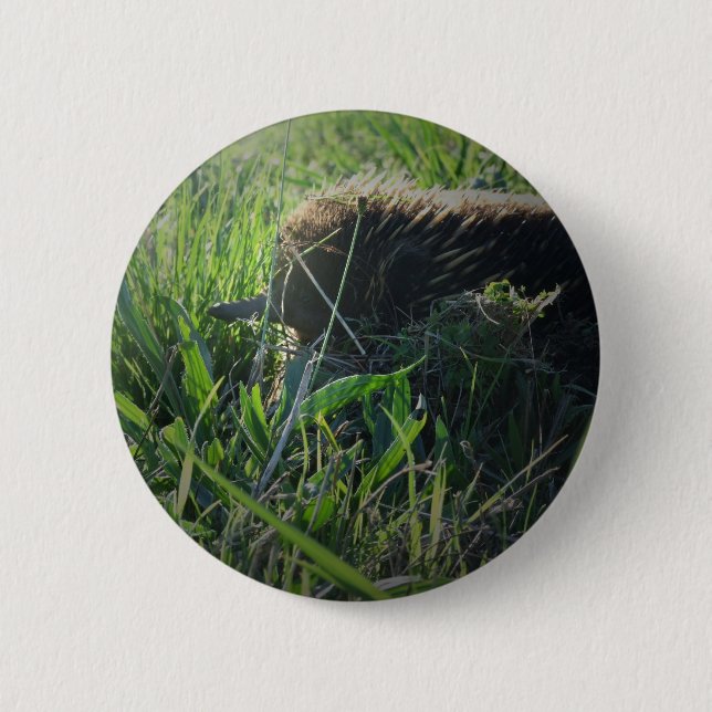 Echidna Button (Front)