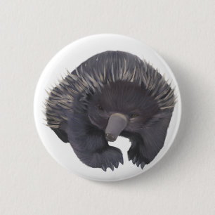 Echidna Button