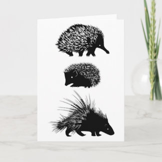 Echidna, hedgehog, porcupine greeting card