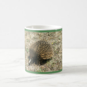 ECHIDNA  Mug