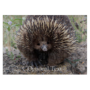 Echidna or Spiny Anteater Australia Cutting Board