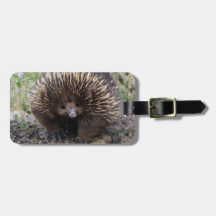 Echidna or Spiny Anteater Australia Luggage Tag