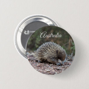Echidna, Spiny Anteater, Australia 6 Cm Round Badge