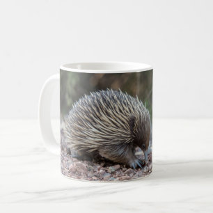 Echidna, Spiny Anteater, Australia Coffee Mug