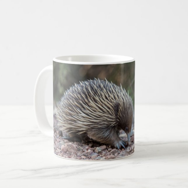 Echidna, Spiny Anteater, Australia Coffee Mug (Front Left)
