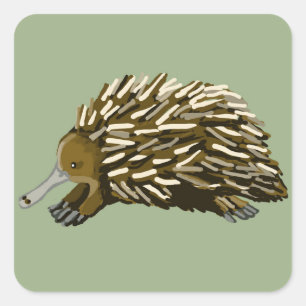 Echidna Square Sticker