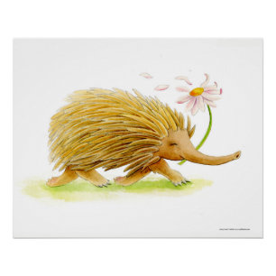 Echidna watercolor whimsy art poster