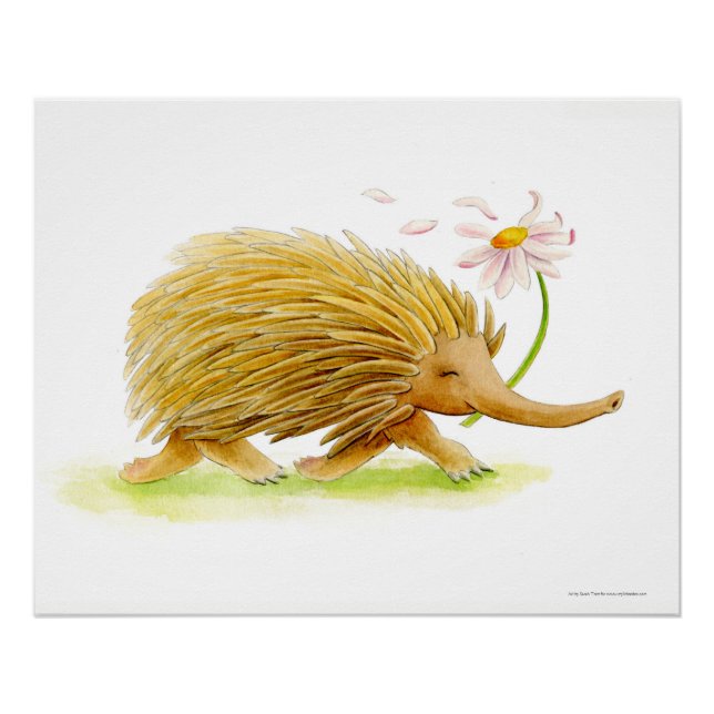 Echidna watercolor whimsy art poster (Front)
