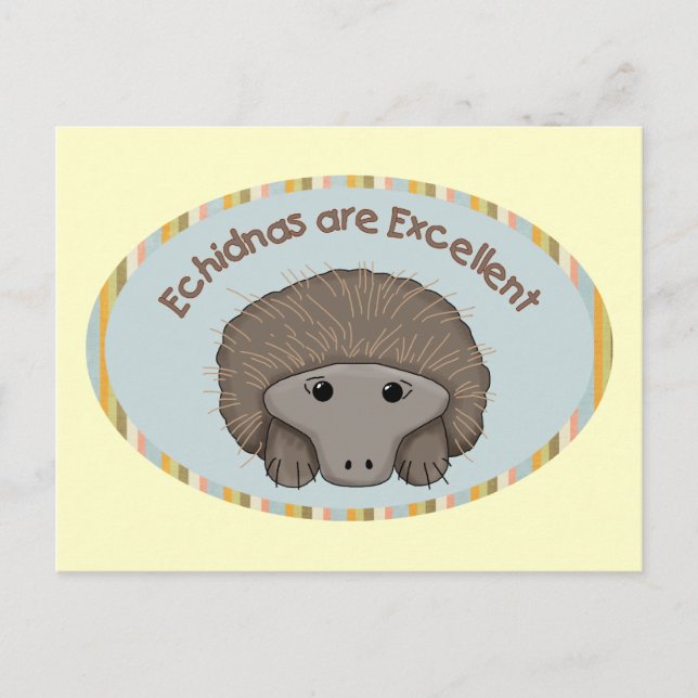 Echidnas are Excellent Postcard (Front)