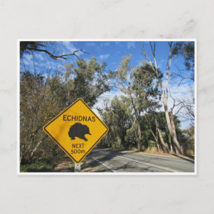 echidnas road trip postcard