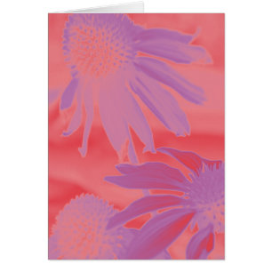Echinacea #9 Neon Glow