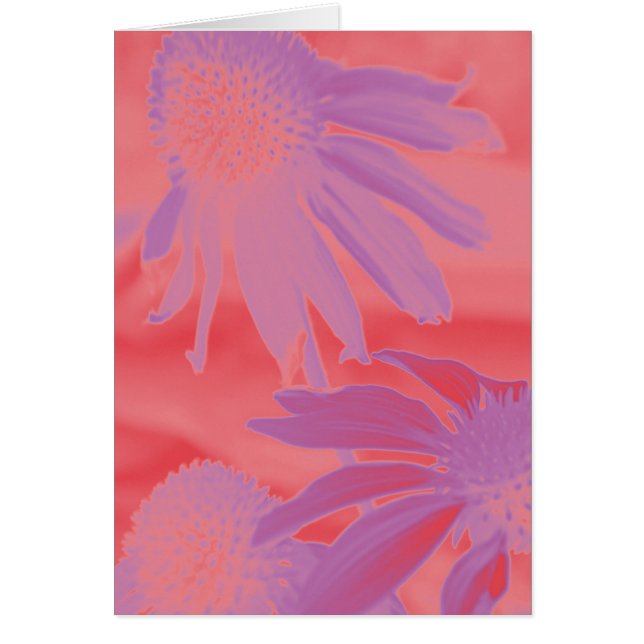 Echinacea #9 Neon Glow (Front)