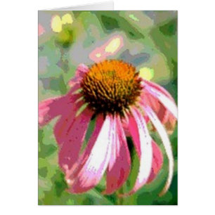 Echinacea Abstract Card
