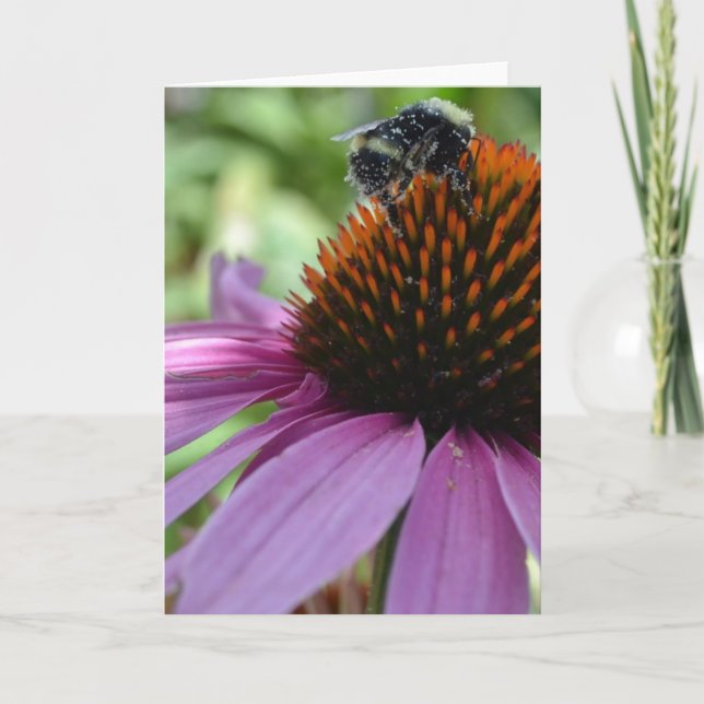 Echinacea and Bee Card (Front)