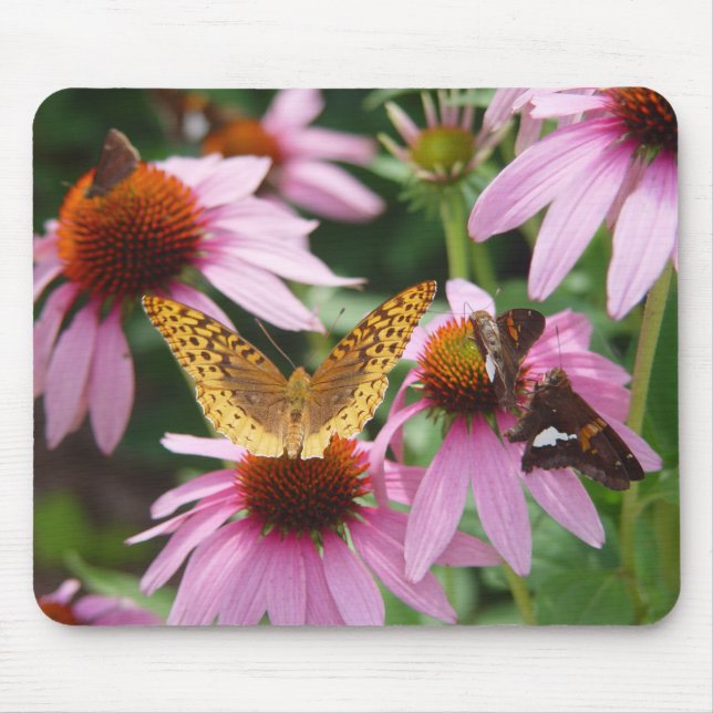 Echinacea Bush Butterflies   Mouse Pad (Front)