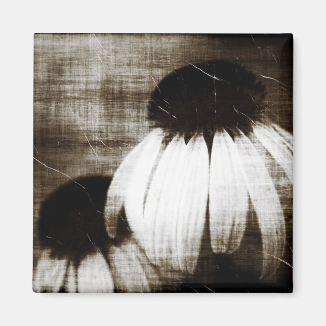 Echinacea Dark Dreams Magnet (Front)