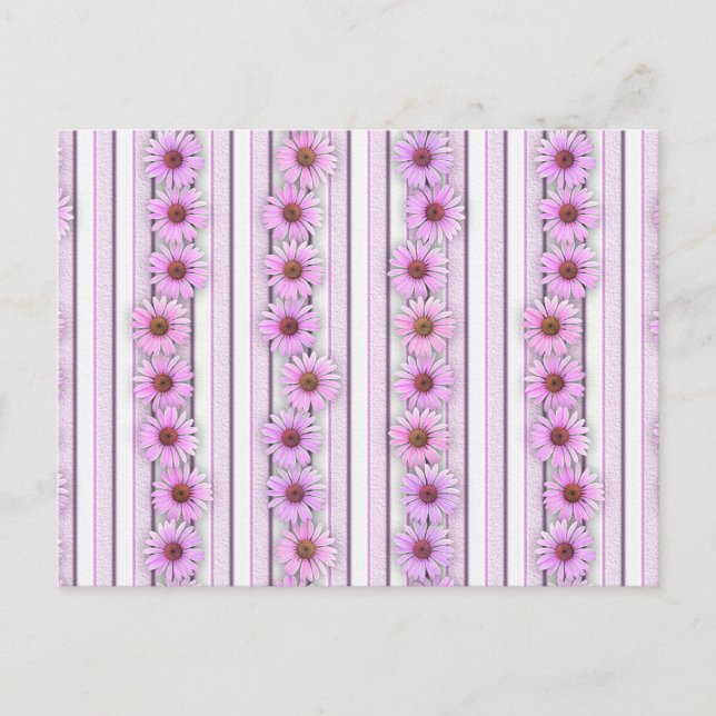 Echinacea Flower Stripes Postcard (Front)