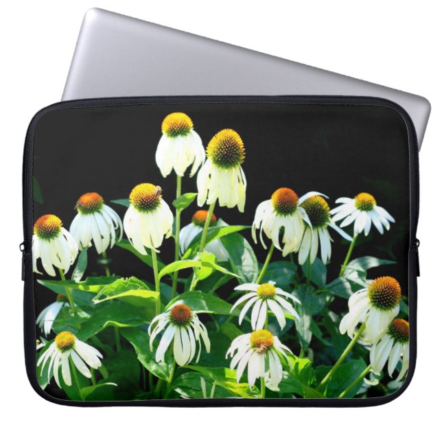Echinacea Flowers in bloom case (Front)