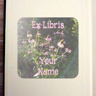 Echinacea Flowers in the Sun Bookplate Square Sticker
