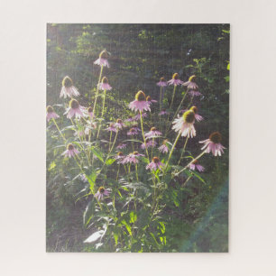 Echinacea Flowers in the Sun Jigsaw Puzzle