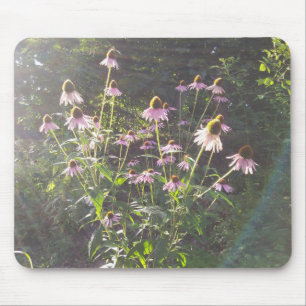 Echinacea Flowers in the Sun Mouse Pad