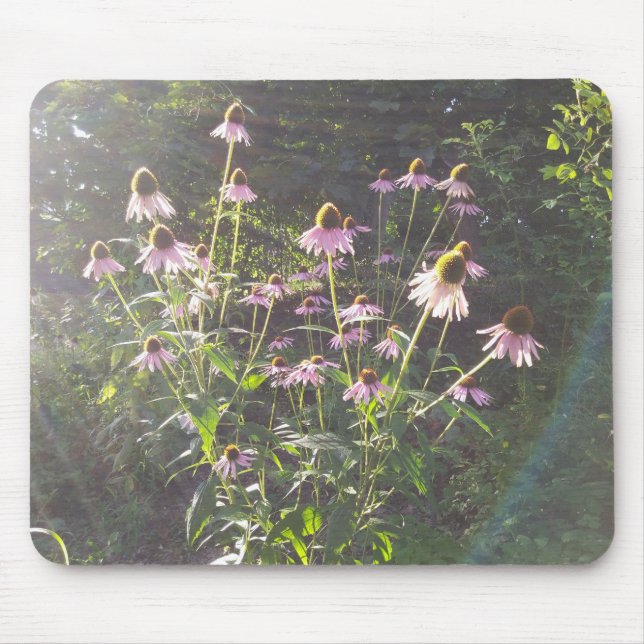 Echinacea Flowers in the Sun Mouse Pad (Front)