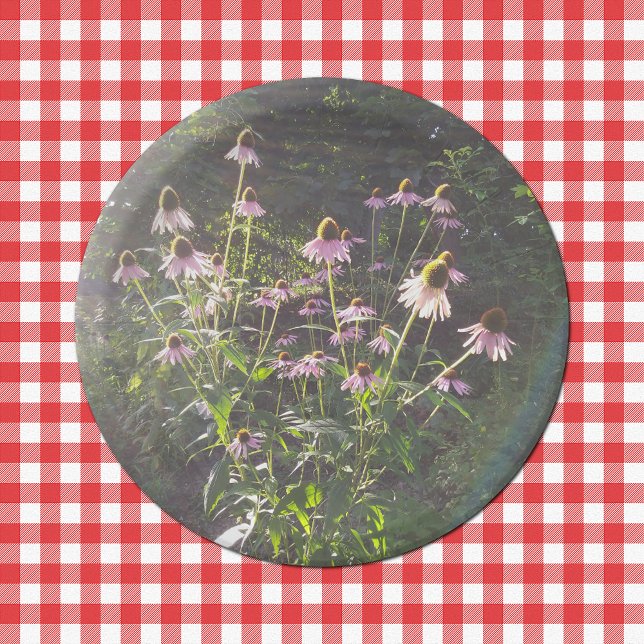 Echinacea Flowers in the Sun Paper Plate (Echinacea Flowers in the Sun Paper Plates on Tablecloth)
