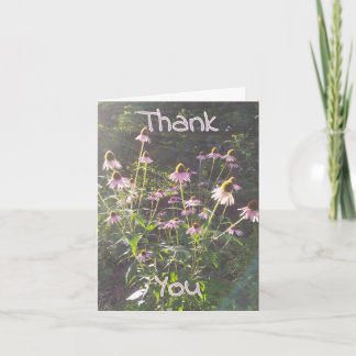Echinacea Flowers in the Sun Thank You Card